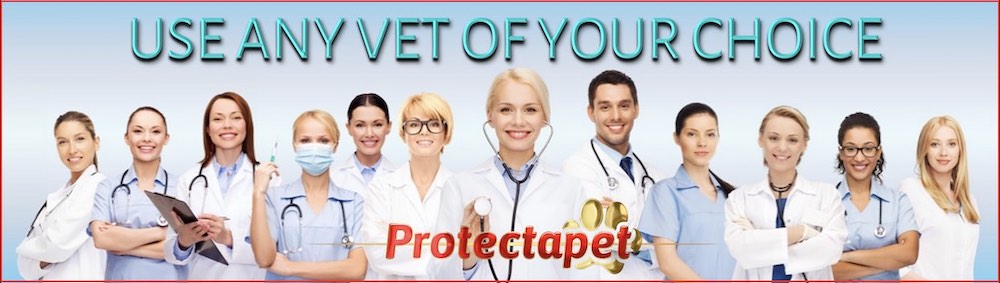 Protectapet are the only Pet insurance company that lets you use any vet of your choice